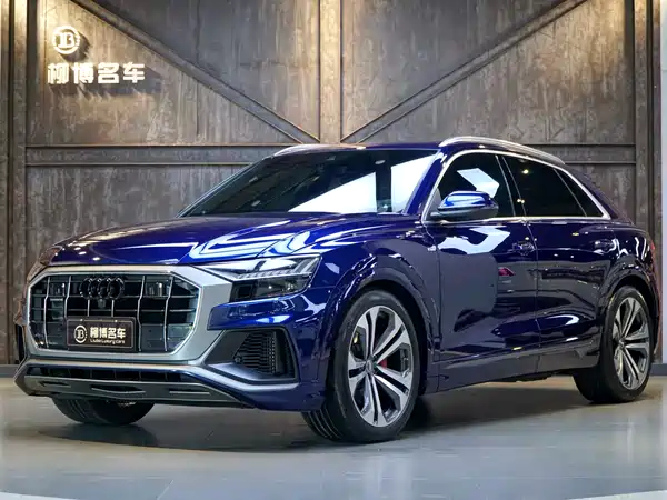 Audi Q8 2019