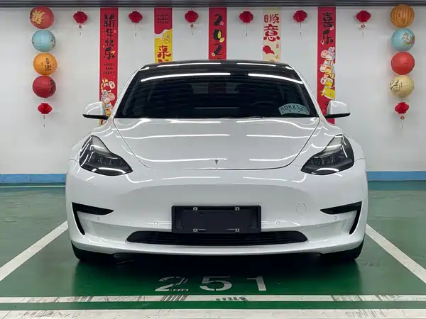Tesla Model 3 2021