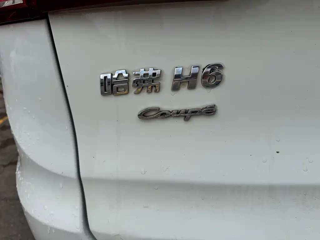 Haval H6 Coupe 2016 — фото 15