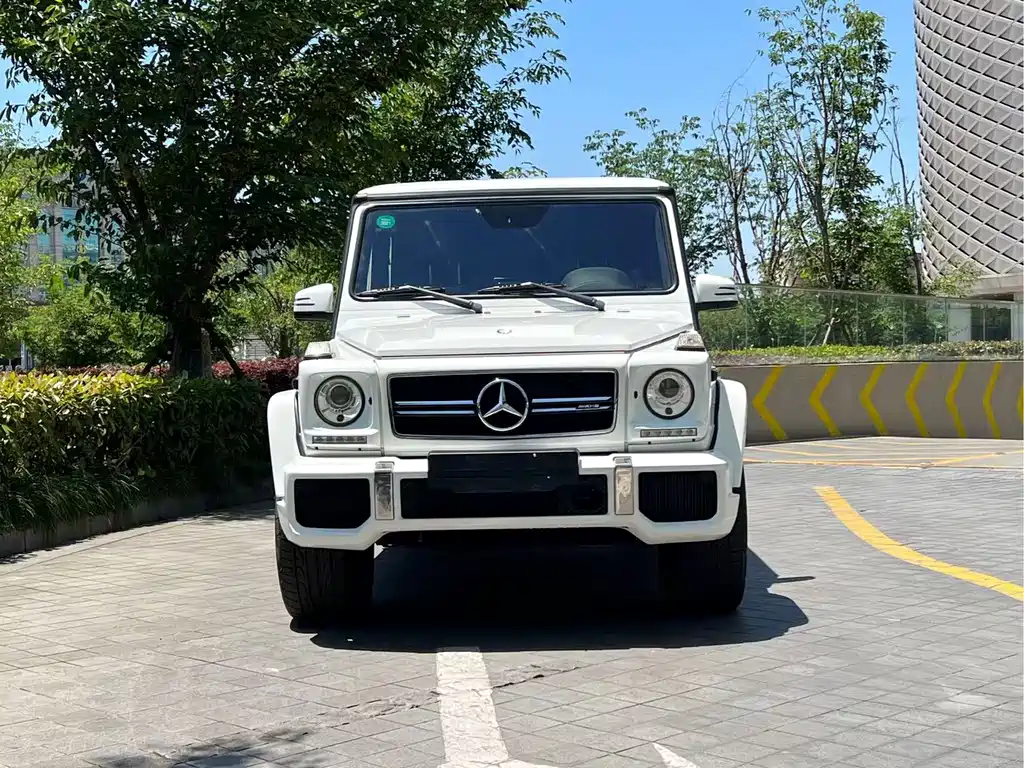 Mercedes-Benz G-Class AMG 2017 — фото 2