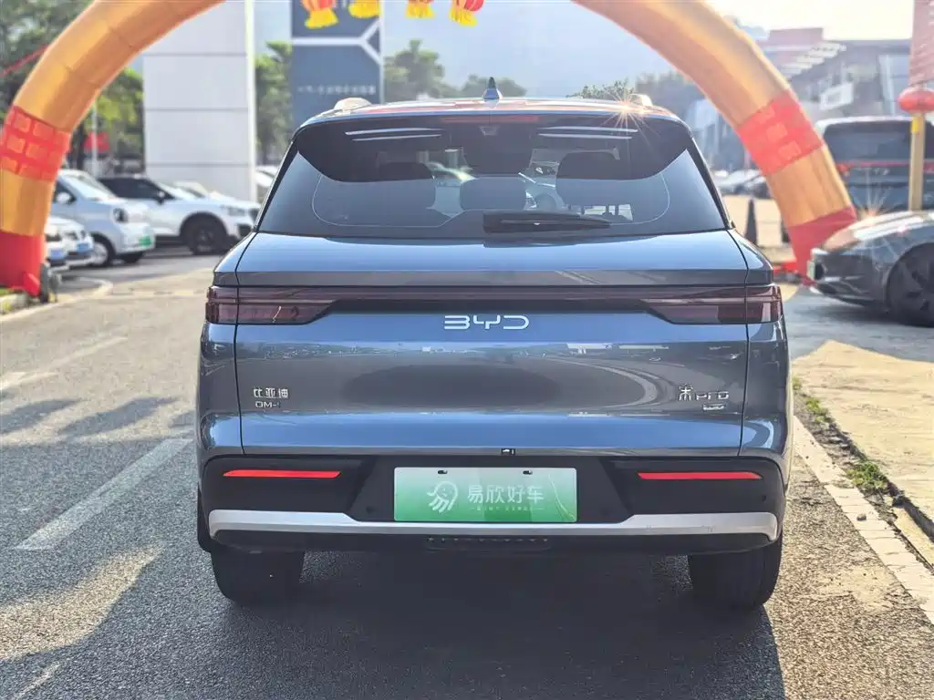 BYD Pro New Energy 2025 — фото 8