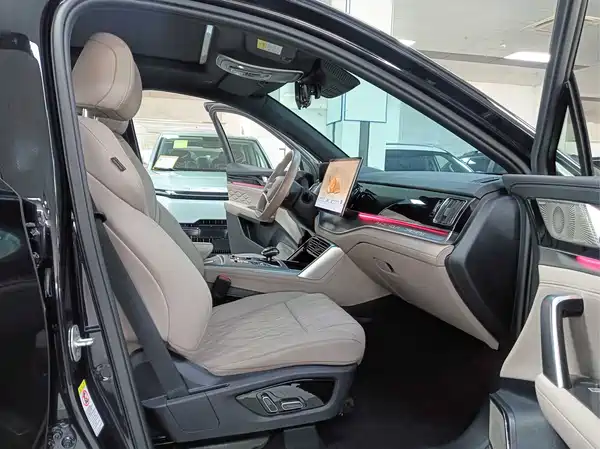 BYD Tang New Energy 2024