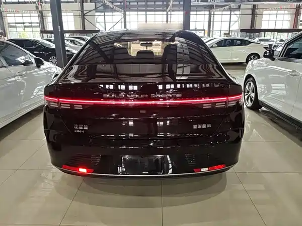 BYD Destroyer 05 2024