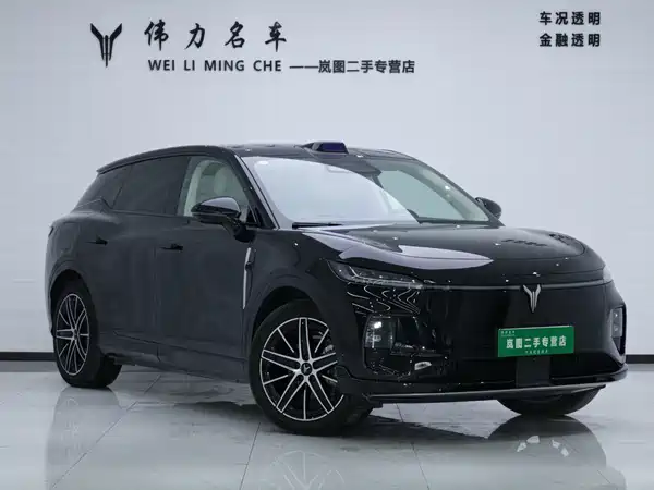 Voyah Zhiyin 2025
