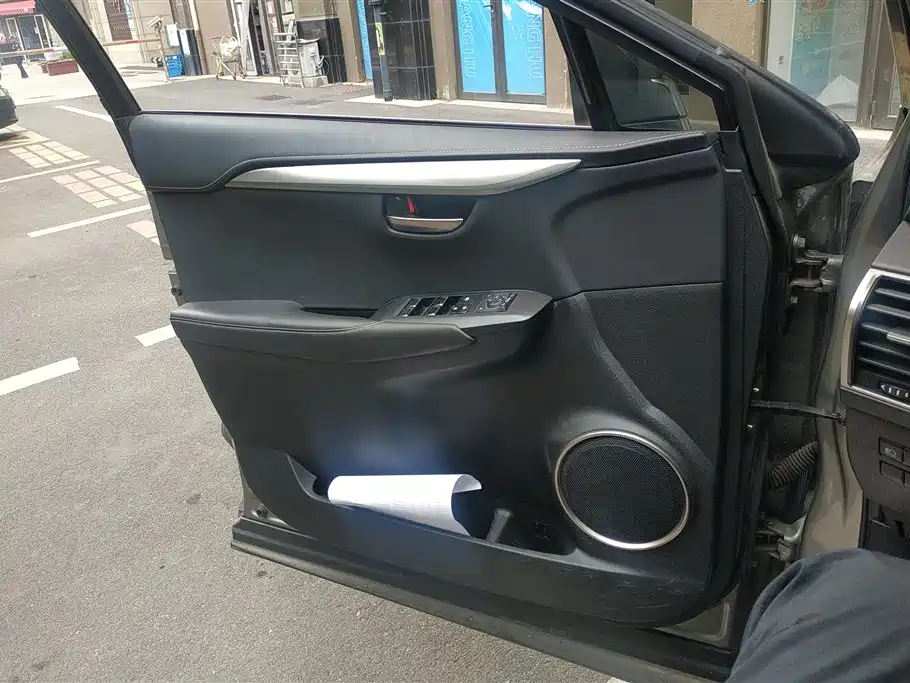 Lexus NX 2019
