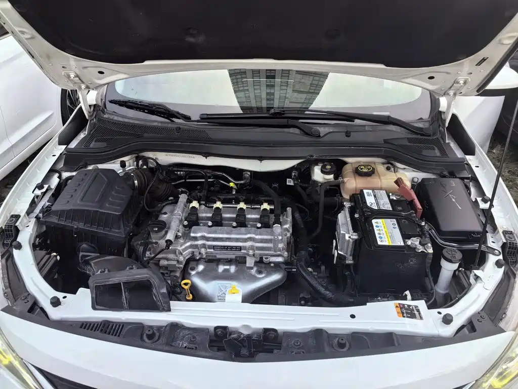 Chevrolet Cavalier 2018 — фото 20