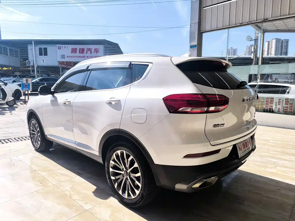 Haval H6 2020 — фото 9