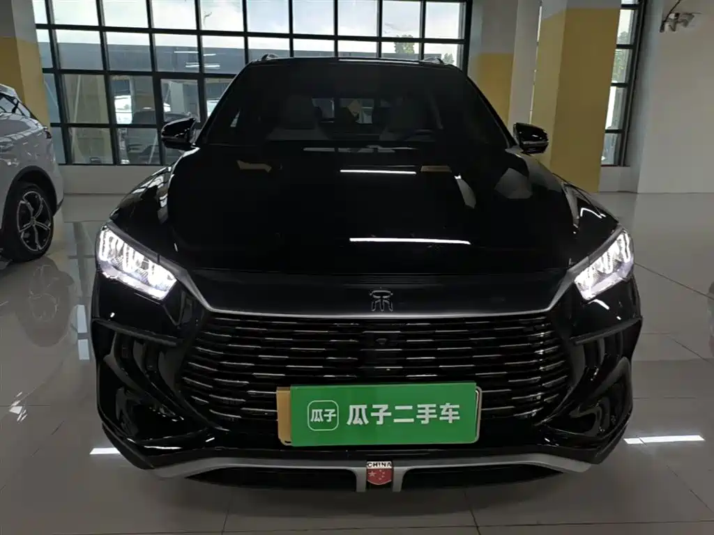 BYD Pro New Energy 2024 — фото 3