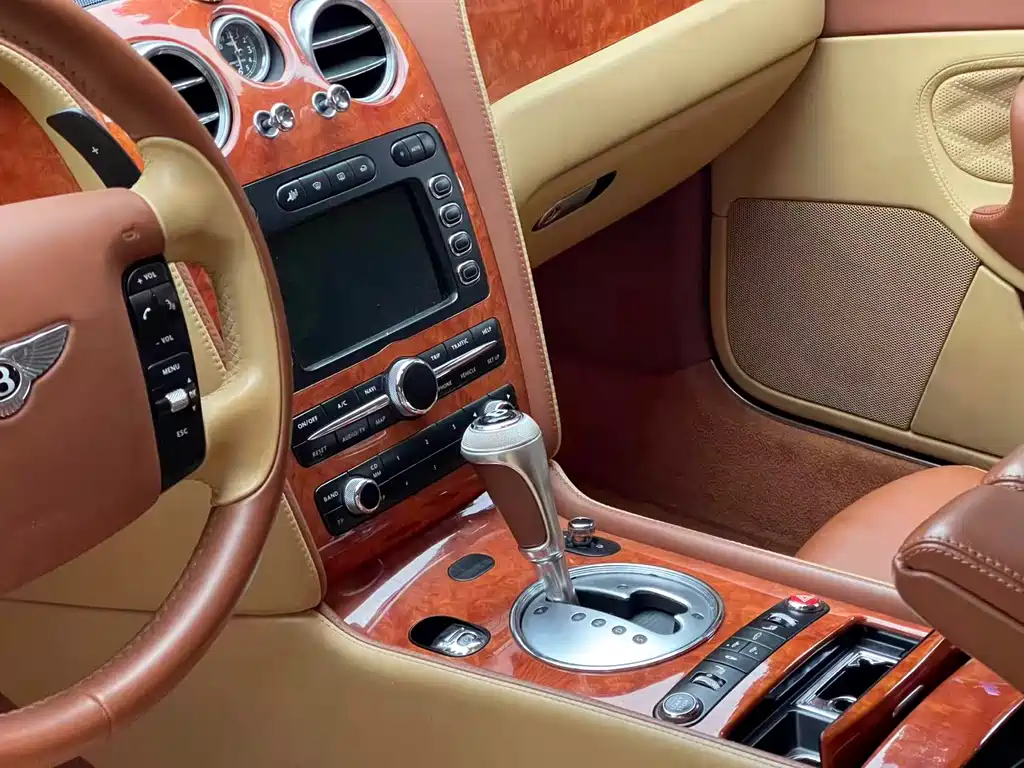 Bentley Continental 2009 — фото 11