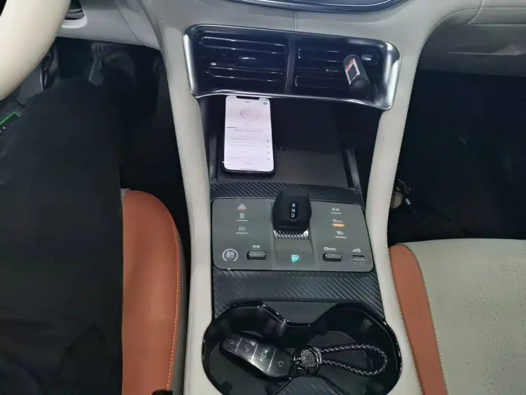 BYD Song PLUS New Energy 2024 — фото 14