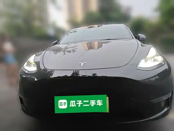 Tesla Model Y 2021
