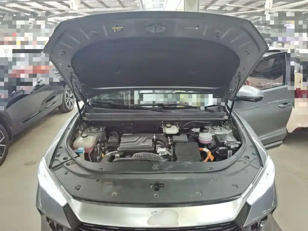 BYD Song Pro New Energy 2024 — фото 20