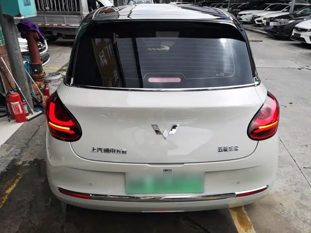 Wuling Bingo 2024