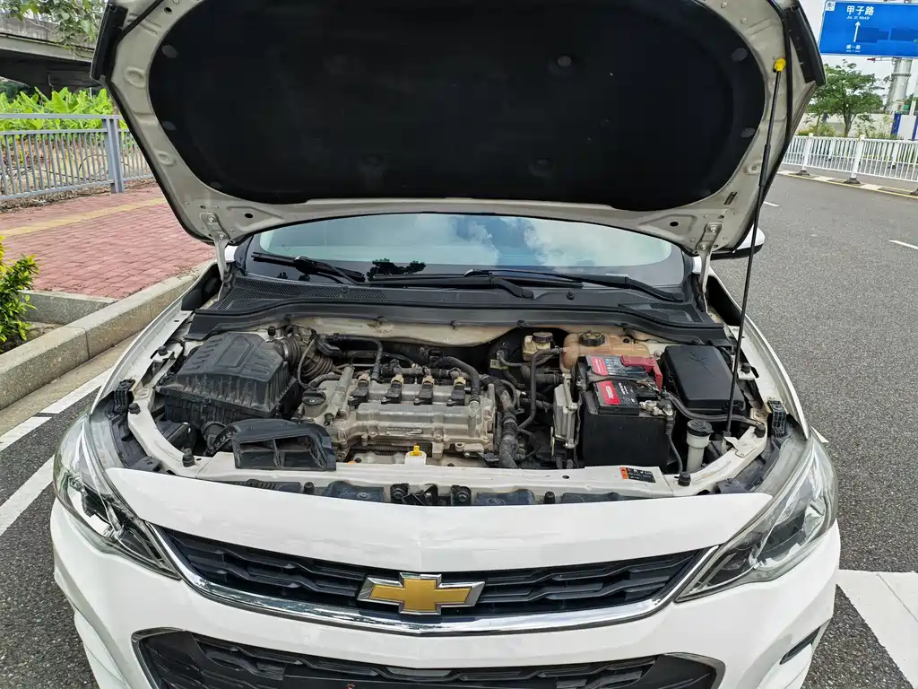 Chevrolet Cavalier 2019 — фото 16