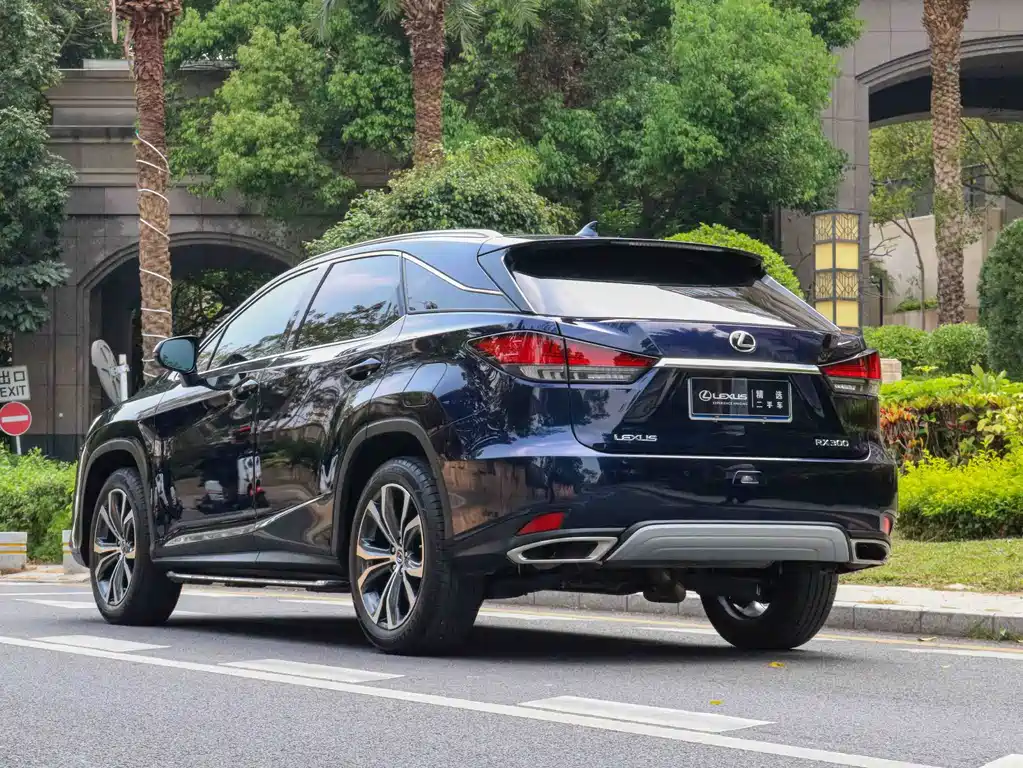 Lexus RX 2022 — фото 10
