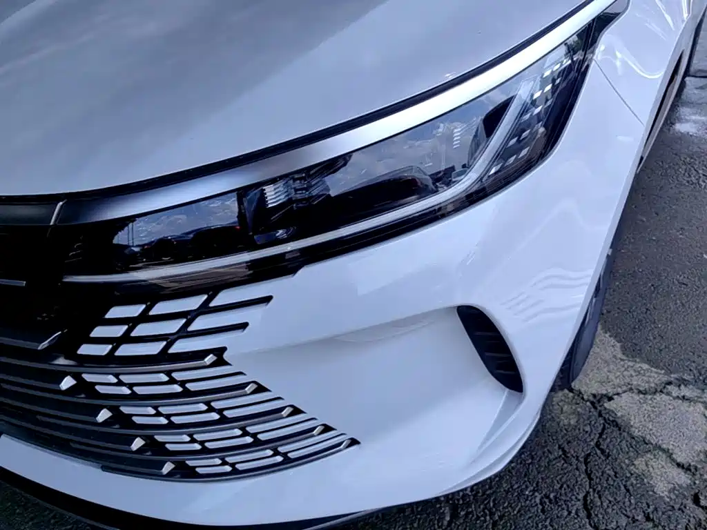 BYD Destroyer 05 2025 — фото 24