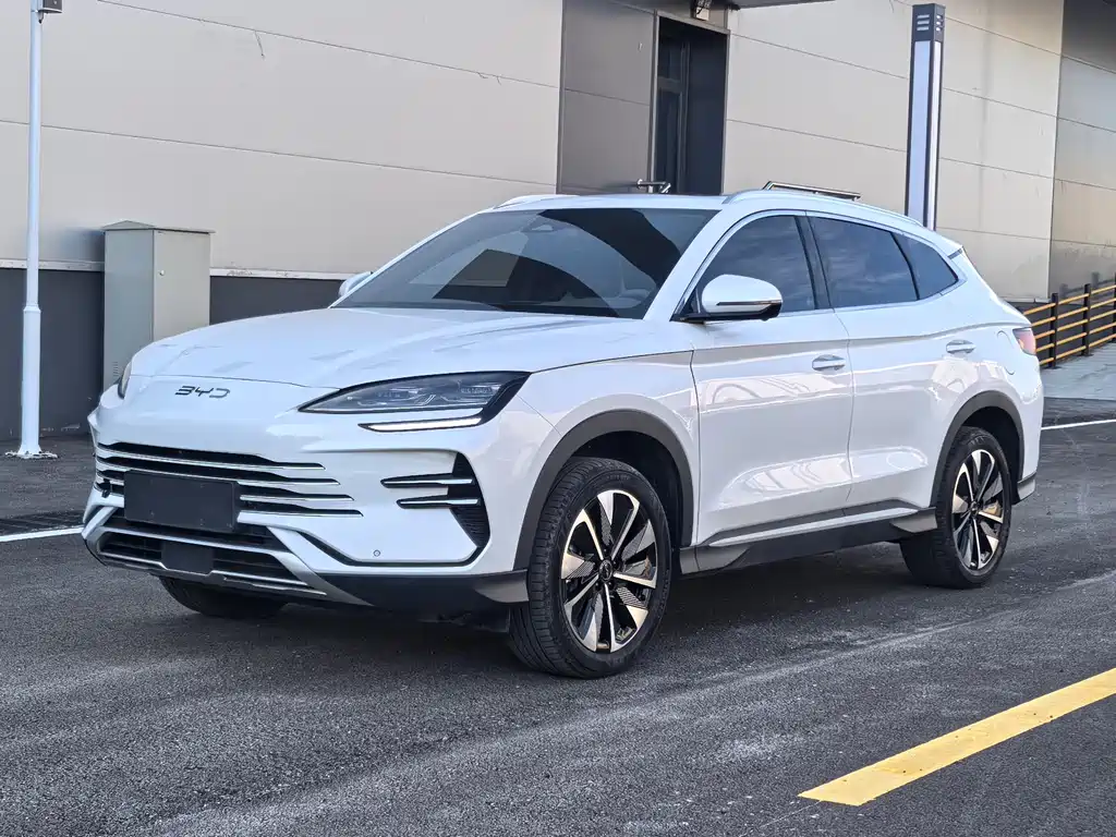 BYD PLUS New Energy 2024 — фото 1