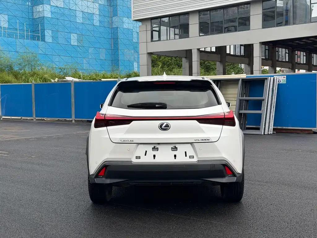 Lexus UX New Energy 2020 — фото 11