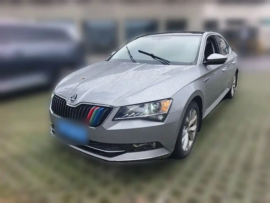 Skoda Speedy 2017