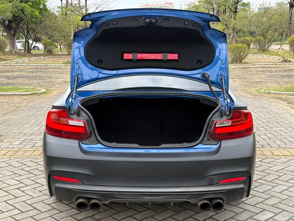 BMW 2 Series 2014 — фото 18