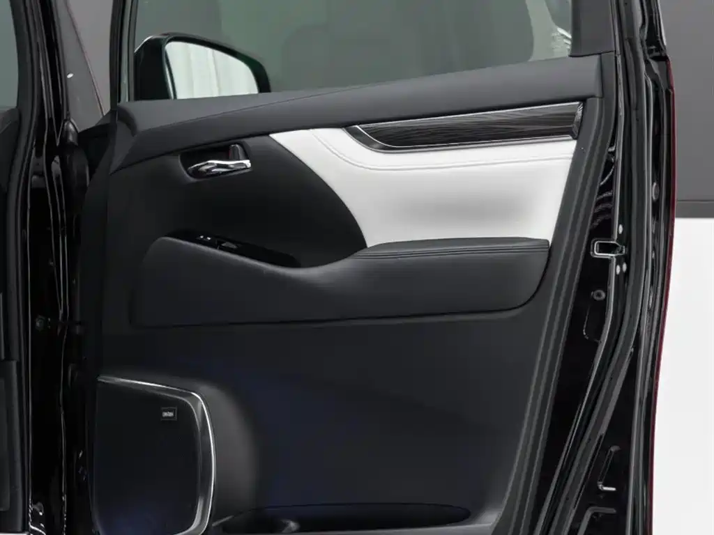Lexus LM 2020 — фото 18