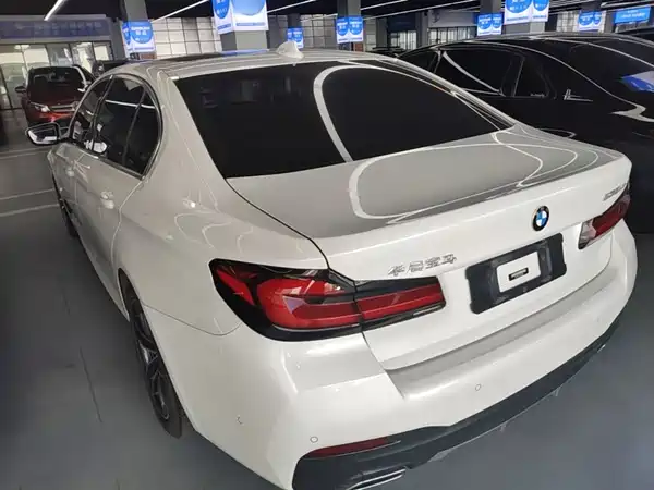 BMW 5 Series New Energy 2021