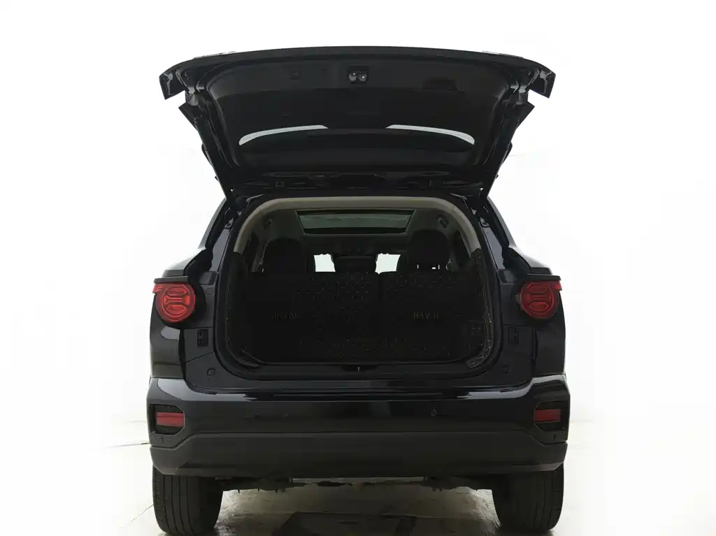 Haval Dargo PLUS EV 2024 — фото 14