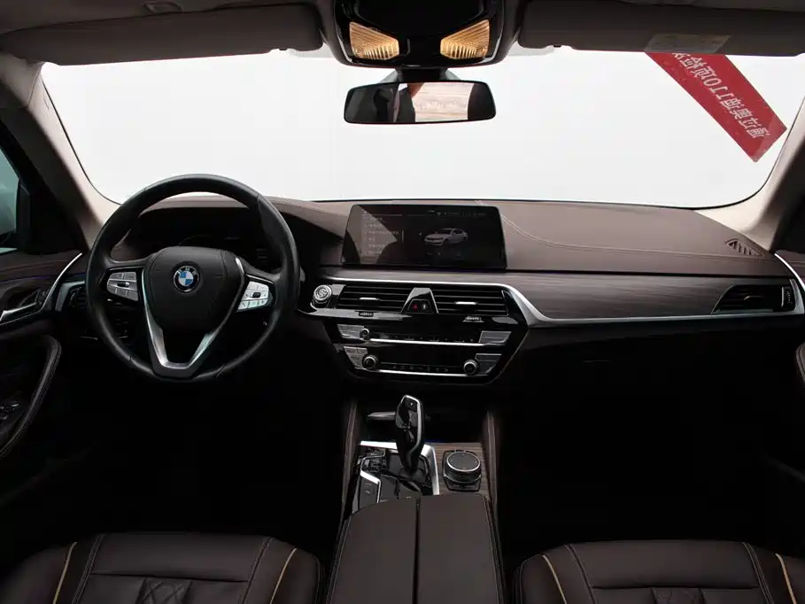 BMW 5 Series New Energy 2020
