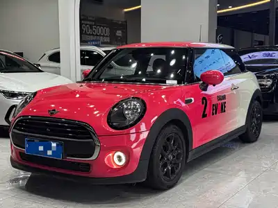 MINI MINI 2020