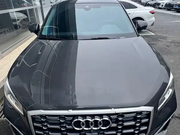 Audi Q2L 2022