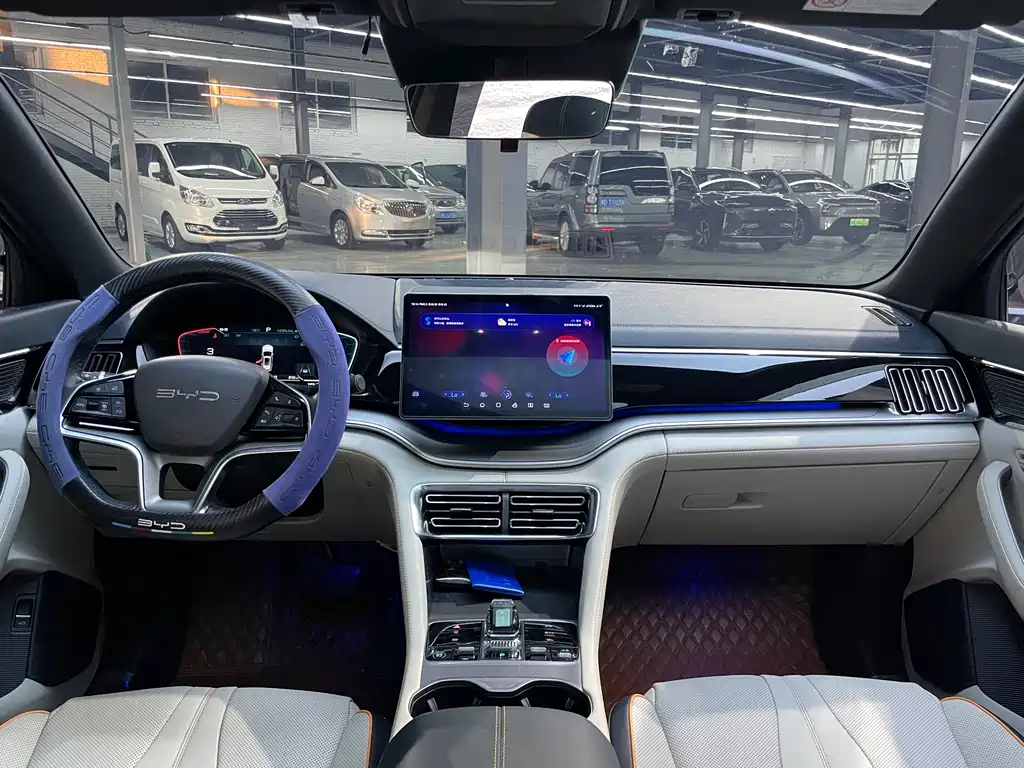 BYD Song PLUS New Energy 2023 — фото 5