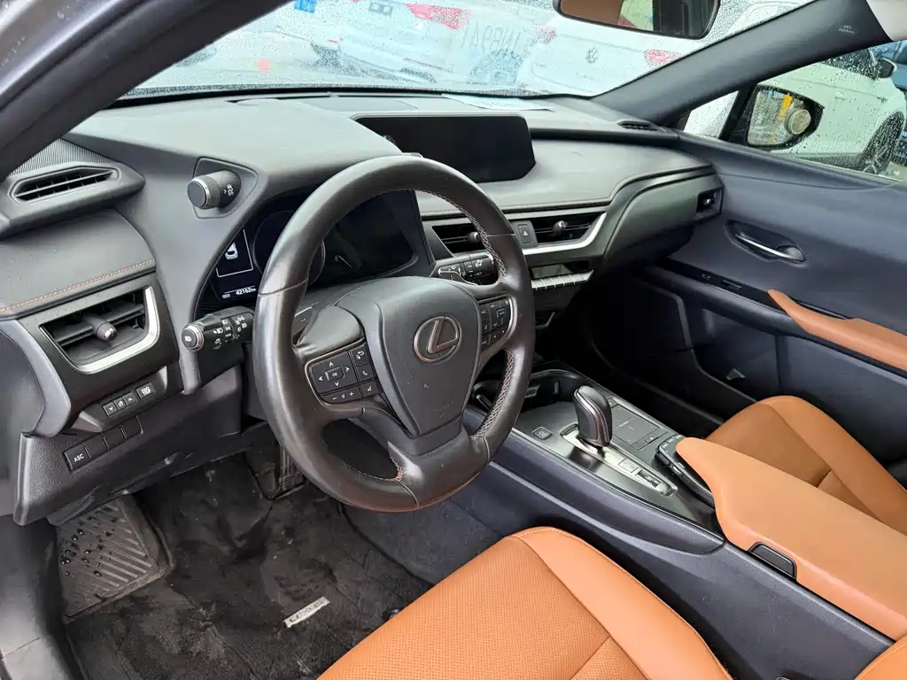Lexus UX New Energy 2021 — фото 10