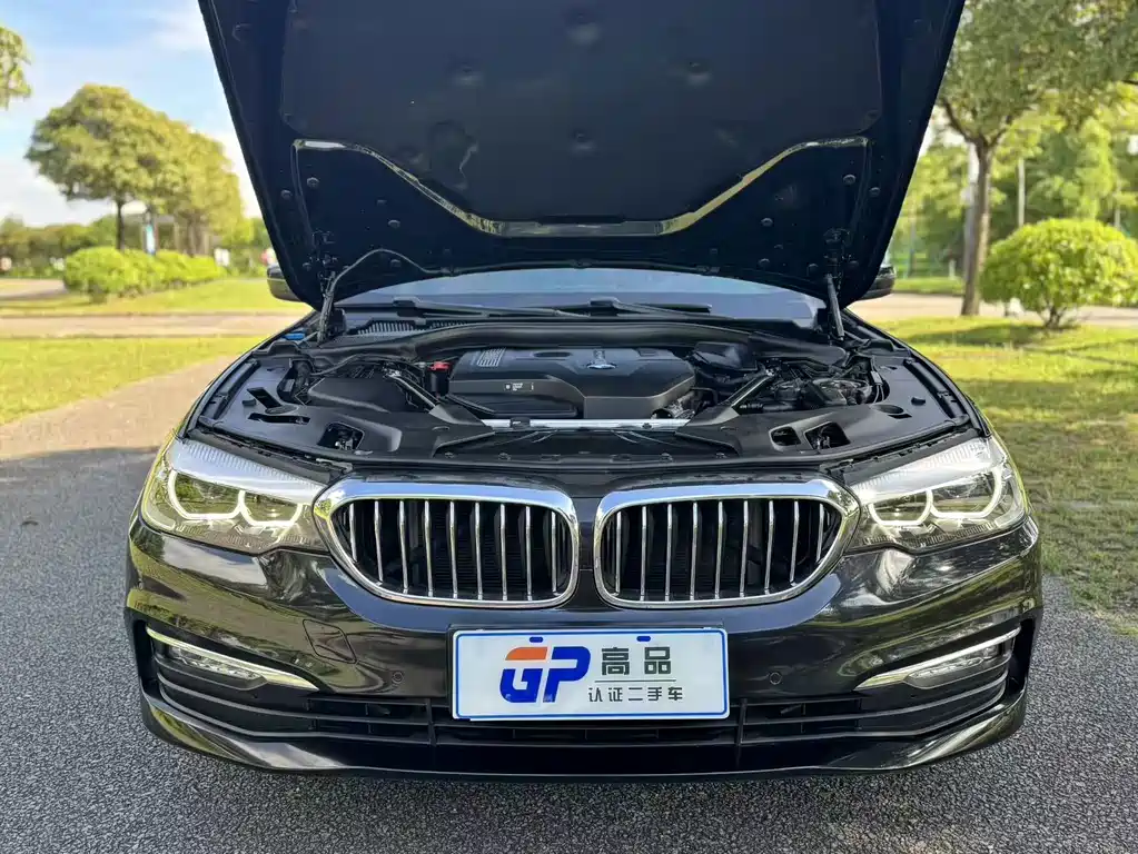 BMW 5 Series 2017 — фото 19