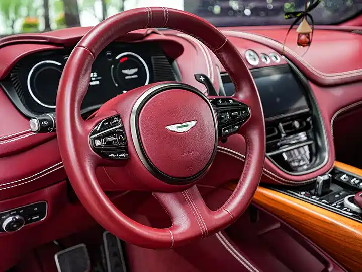 Aston Martin DBX 2020 — фото 11