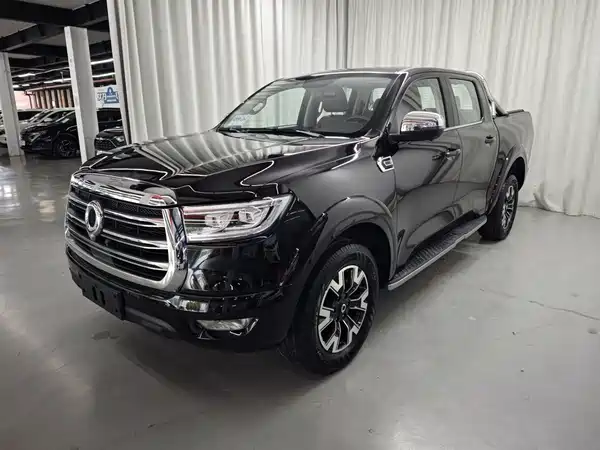 Great Wall Poer 2020