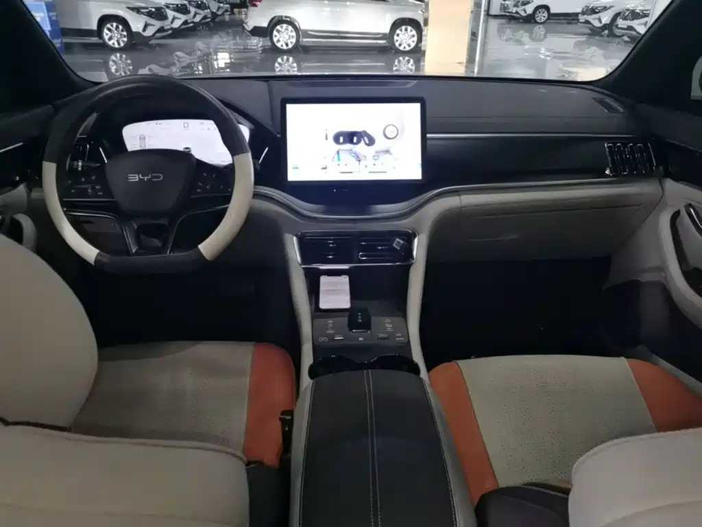 BYD Song PLUS New Energy 2024 — фото 10