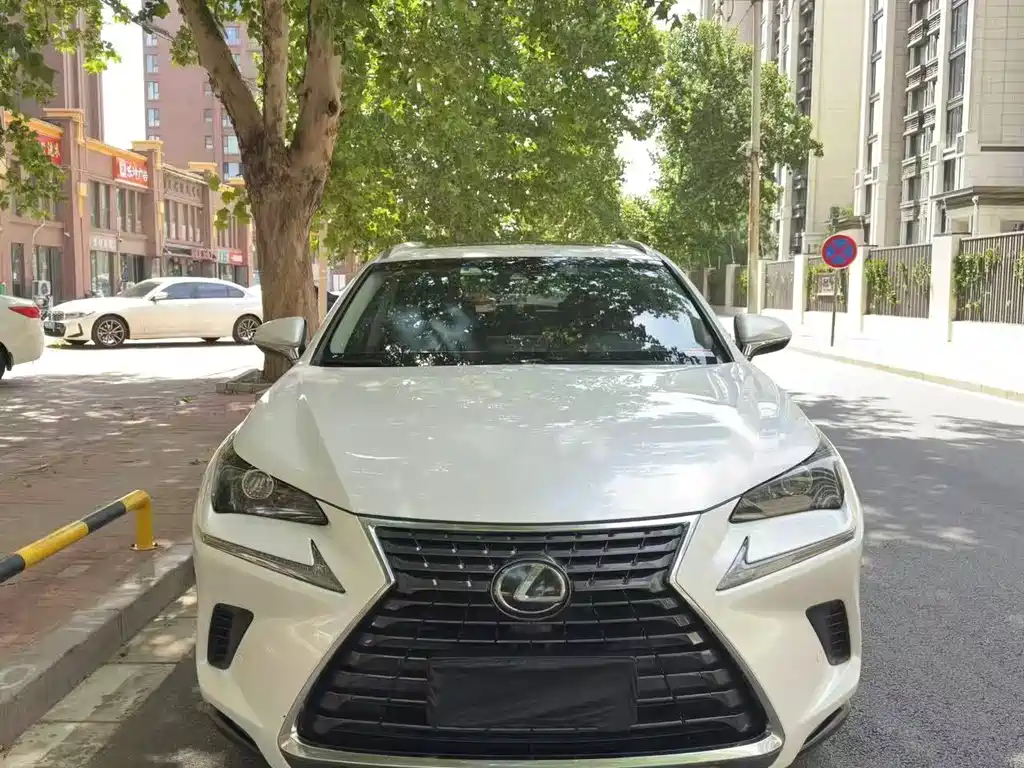 Lexus NX 2018