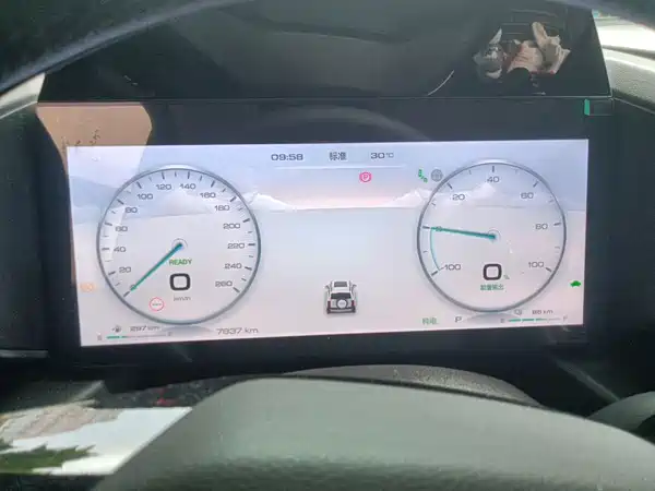 Haval Raptors New Energy 2024