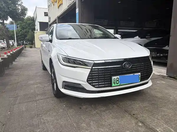 BYD Qin New Energy 2021