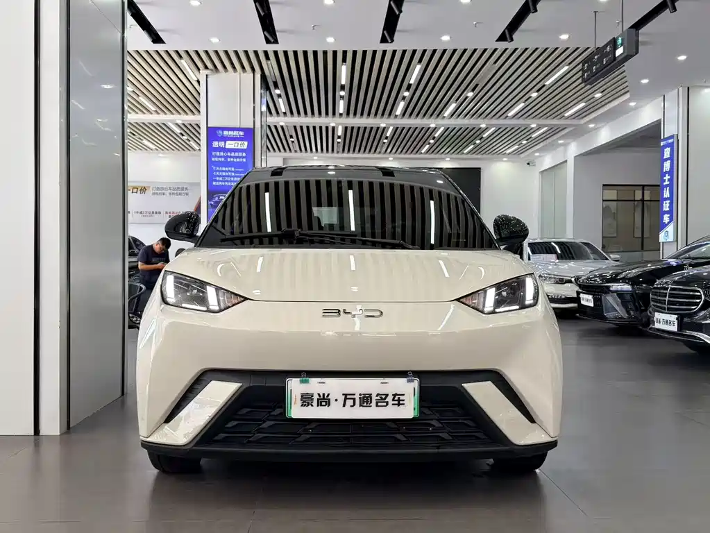 BYD Seagull 2024
