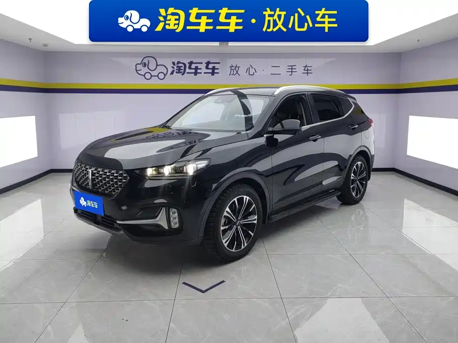 Wey VV6 2021