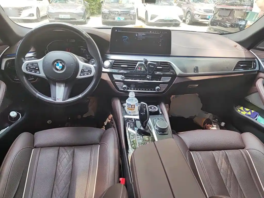 BMW 5 Series New Energy 2021