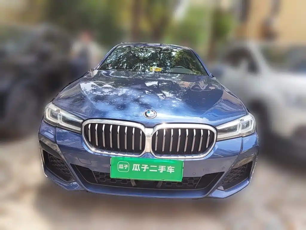 BMW 5 Series New Energy 2021