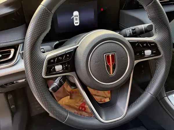 Hongqi H5 2024