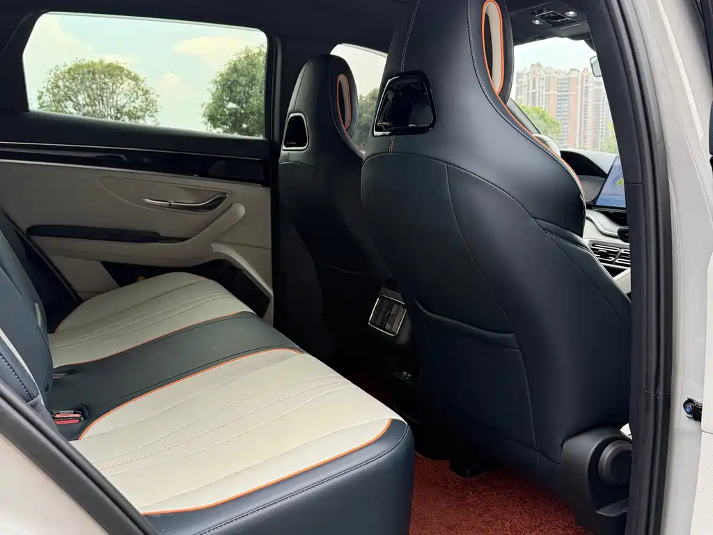 BYD Song PLUS New Energy 2025 — фото 8