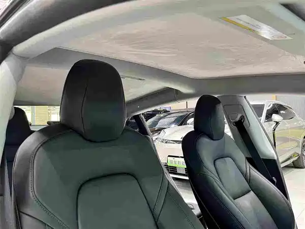 Tesla Model 3 2019