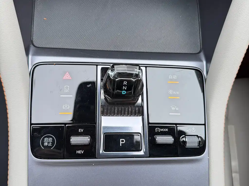 BYD Song PLUS New Energy 2025 — фото 9