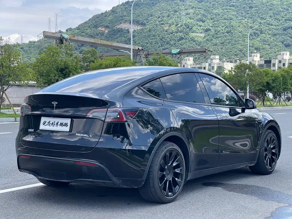 Tesla Model Y 2021 — фото 11