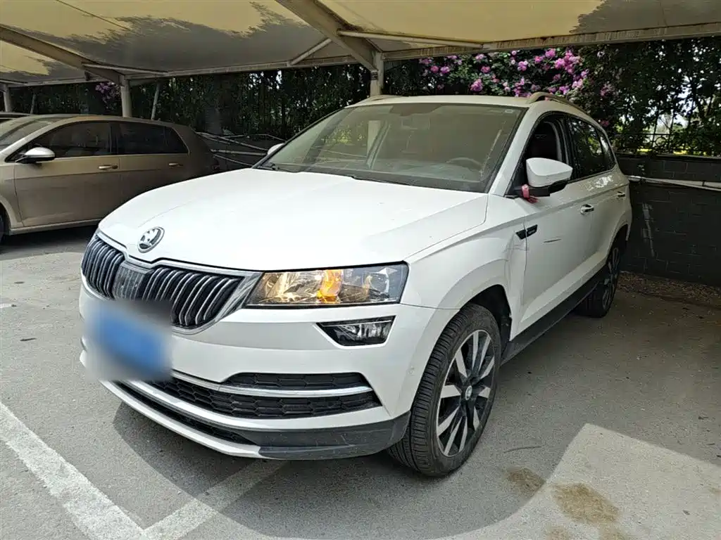 Skoda Karoq 2020 — фото 2