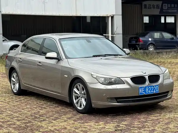BMW 5 Series 2010